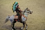 Quadrille - 00321